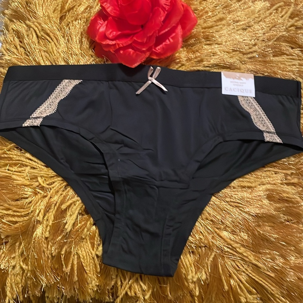 Lane Bryant Cacique Extra Soft Cheeky Hipster Panty - Size 8, 12